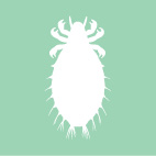 Waterbug icon