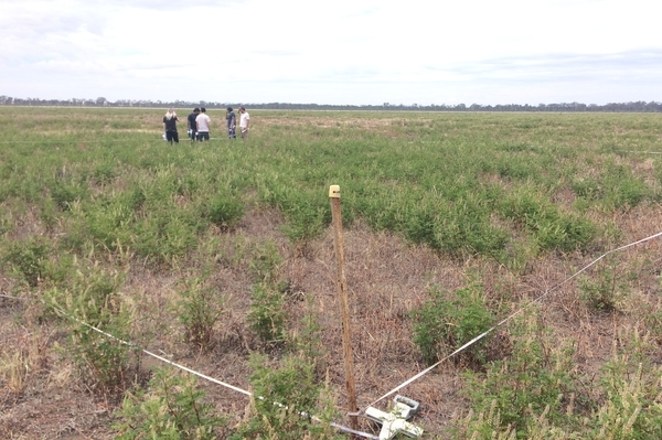 Group of people meeting on a field to do vegetation monitoring