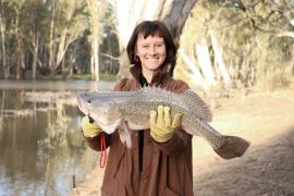 Author with Murray cod