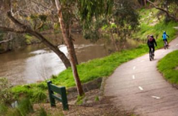Enviro flows to boost Yarra River's health