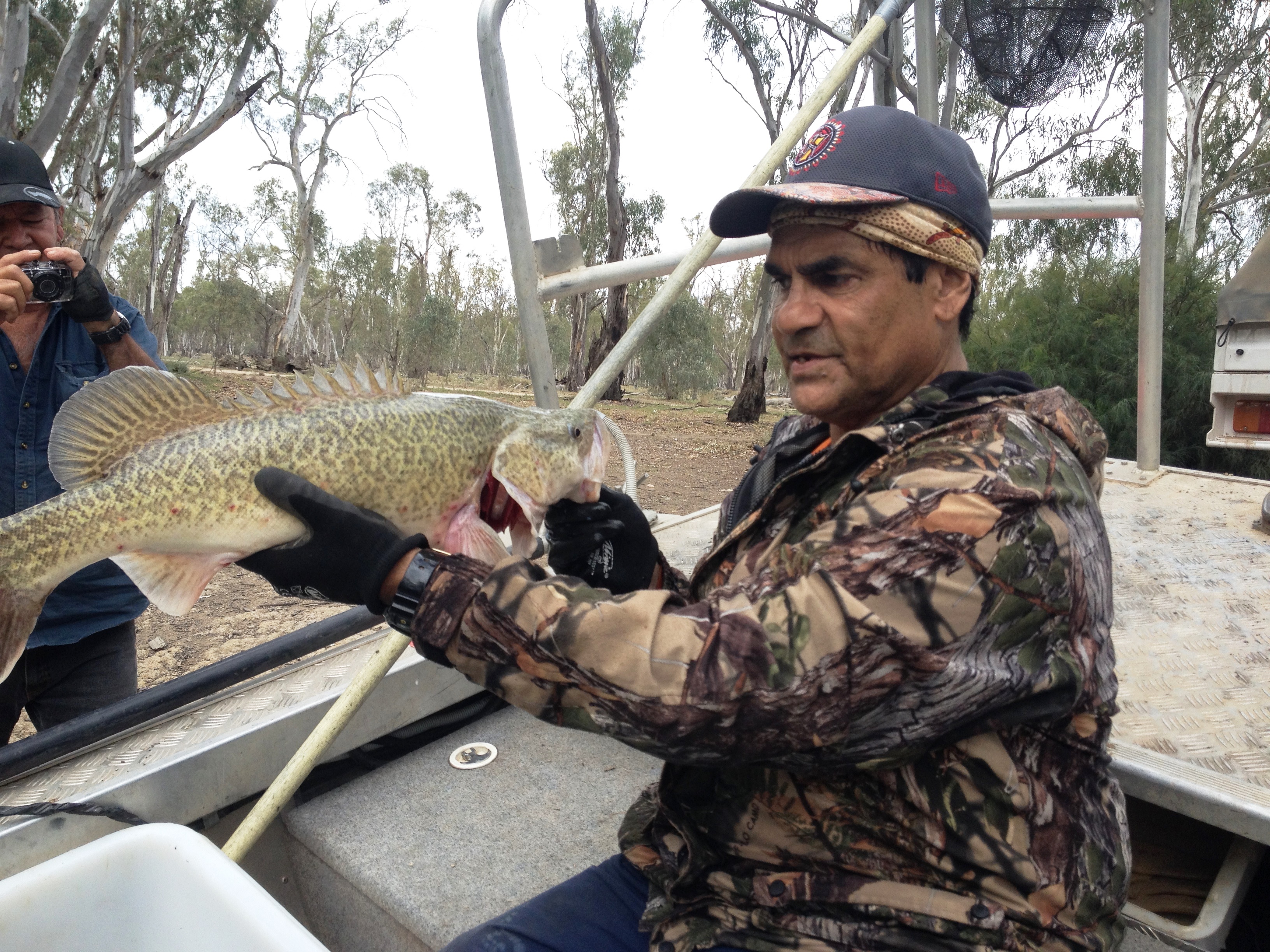 Murray Cod, Dixie Patten, Gunbower Creek, by North Central CMA