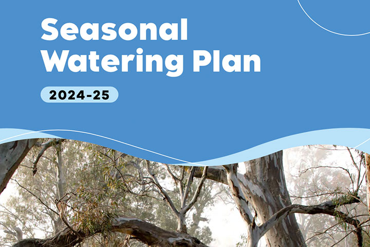 Seasonal Watering Plan 2024-25