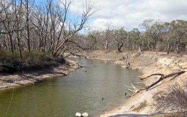 Wimmera River at Jeparit in 2006 post drought