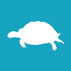 Turtle icons