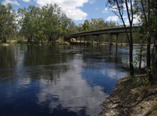 Murray River near Barmah township
