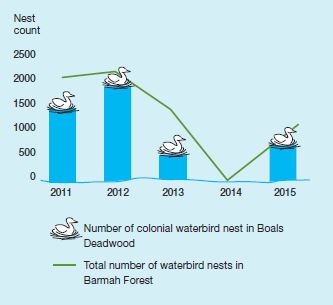 Figure 1. Colonial and other waterbird nests, Boals Deadwood and Barmah Forest